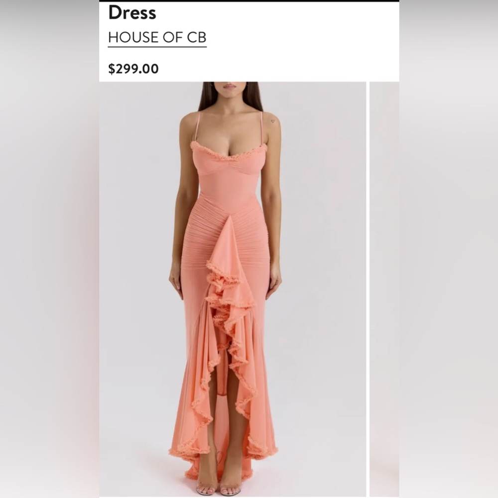 House of CB Peach Mesh Ruffled Front Gown size Med